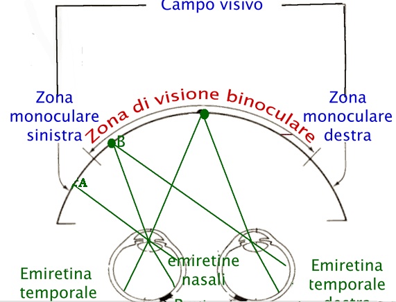 ANTONINOSAGGIOLEZIONE