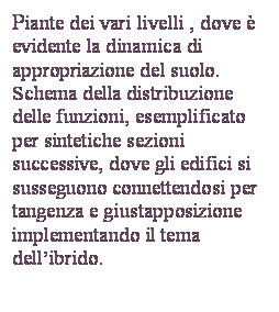 Casella di testo: Piante dei vari livelli , dove è evidente la dinamica di appropriazione del suolo. Schema della distribuzione delle funzioni, esemplificato per sintetiche sezioni successive, dove gli edifici si susseguono connettendosi per tangenza e giustapposizione implementando il tema dell’ibrido.

