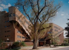 185. Alvar Aalto, Dormitori studenteschi “Baker Hous” Mit, Cambridge 1947-1949